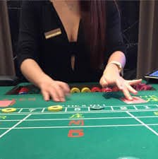 pusi88